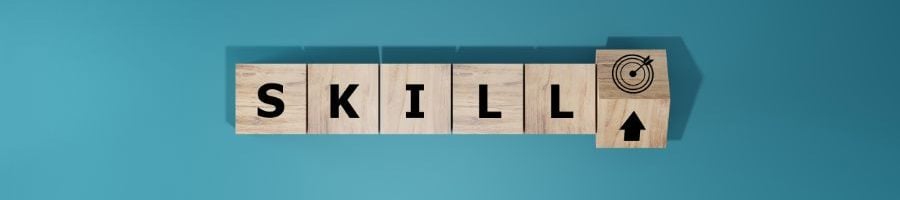 what is skills development